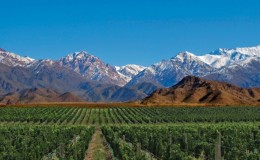 Mendoza