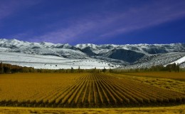 Mendoza