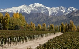 Mendoza